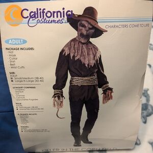 Scarecrow costume